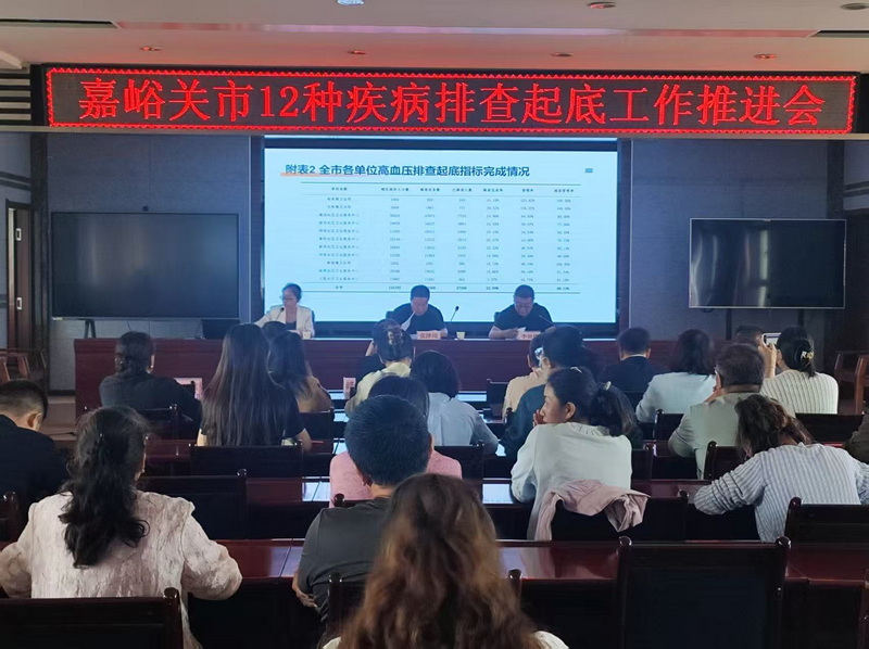 嘉峪关召开慢性病全域精准筛查与闭环质控推进会
